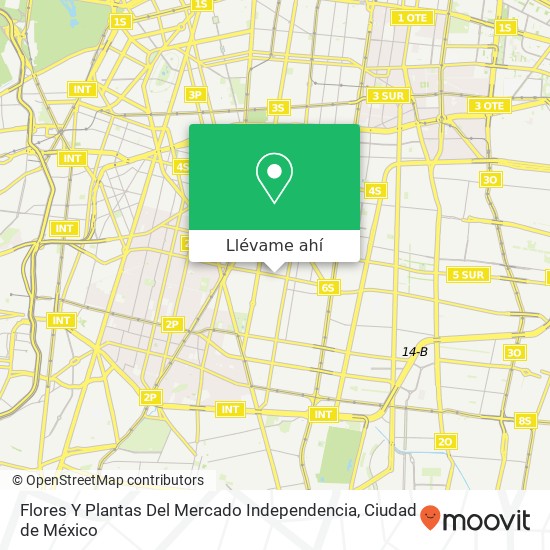 Mapa de Flores Y Plantas Del Mercado Independencia
