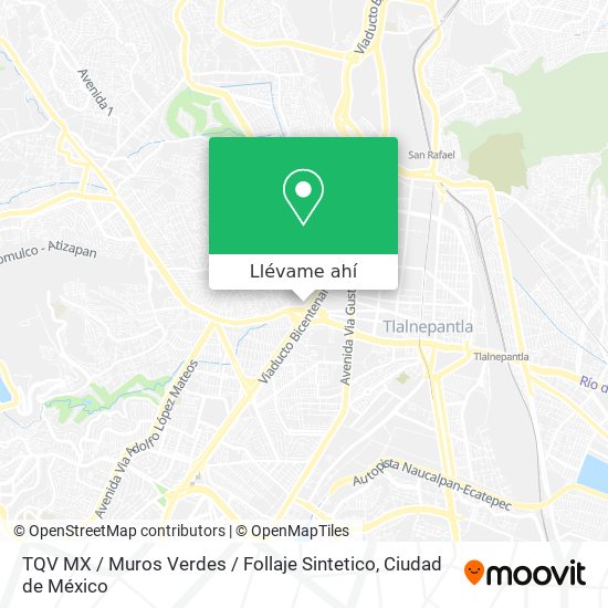 Mapa de TQV MX / Muros Verdes / Follaje Sintetico