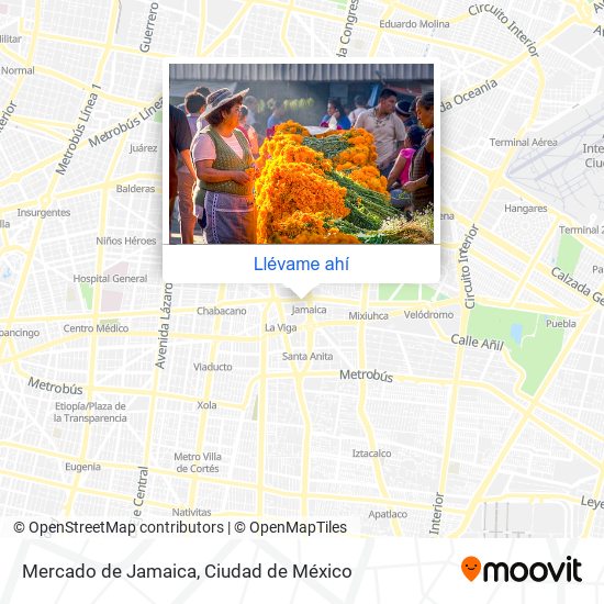 Cómo llegar a Mercado de Jamaica en Cuauhtémoc en Autobús o Metro?