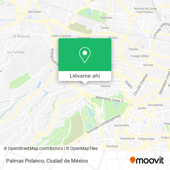 Mapa de Palmas Polanco