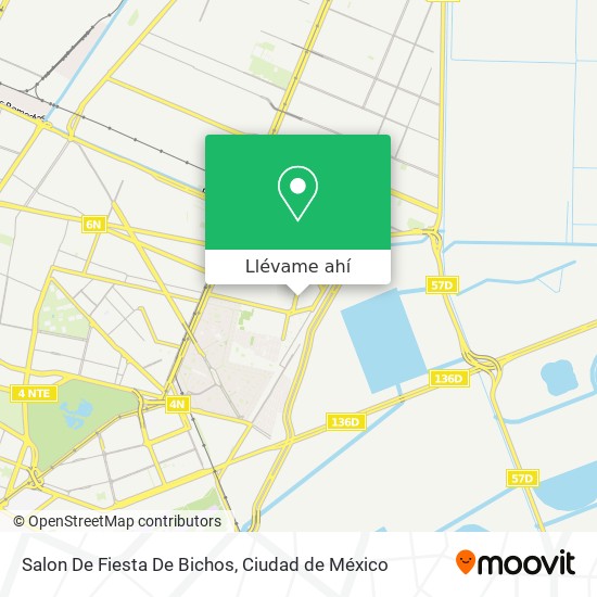 Mapa de Salon De Fiesta De Bichos