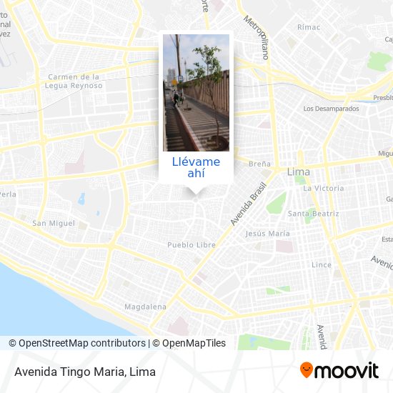 Mapa de Avenida Tingo Maria