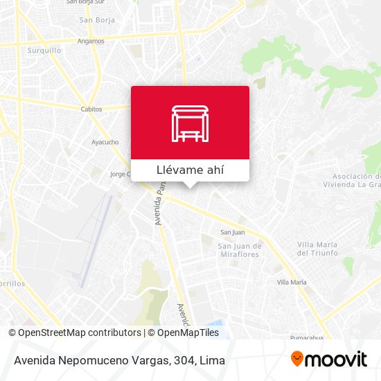 Mapa de Avenida Nepomuceno Vargas, 304