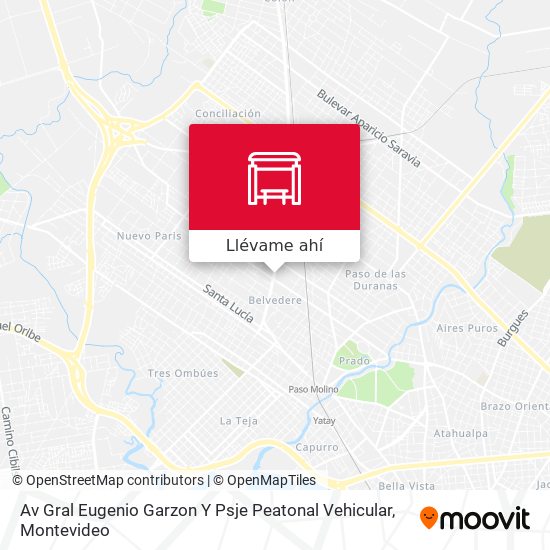 Mapa de Av Gral Eugenio Garzon Y Psje Peatonal Vehicular