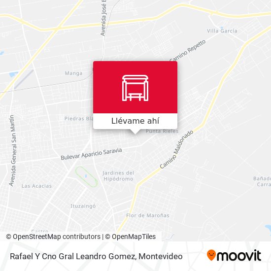 Mapa de Rafael Y Cno Gral Leandro Gomez