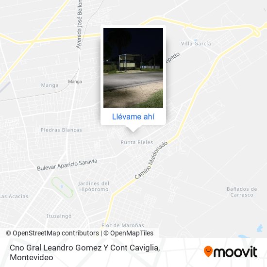Mapa de Cno Gral Leandro Gomez Y Cont Caviglia