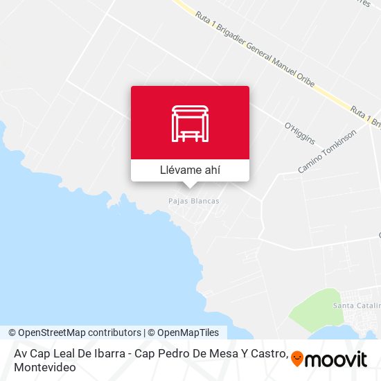 Mapa de Av Cap Leal De Ibarra - Cap Pedro De Mesa Y Castro