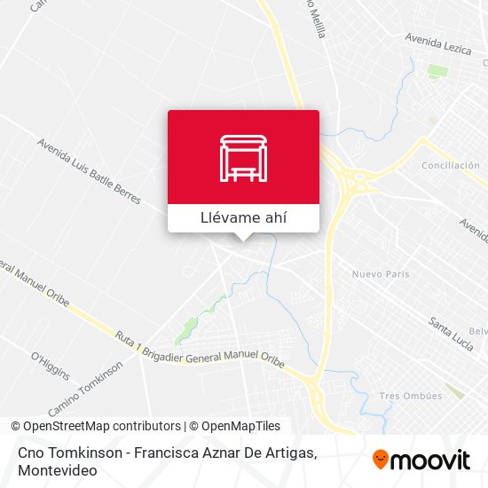 Mapa de Cno Tomkinson - Francisca Aznar De Artigas