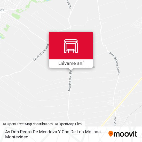 Mapa de Av Don Pedro De Mendoza Y Cno De Los Molinos