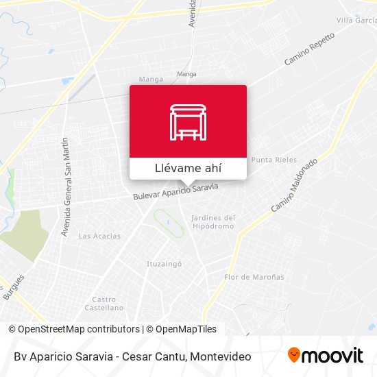 Mapa de Bv Aparicio Saravia - Cesar Cantu