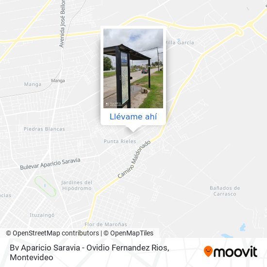 Mapa de Bv Aparicio Saravia - Ovidio Fernandez Rios