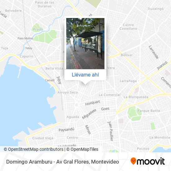Mapa de Domingo Aramburu - Av Gral Flores