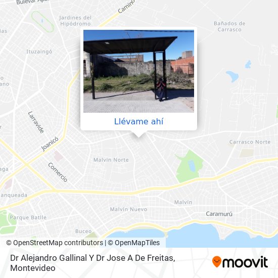 Mapa de Dr Alejandro Gallinal Y Dr Jose A De Freitas