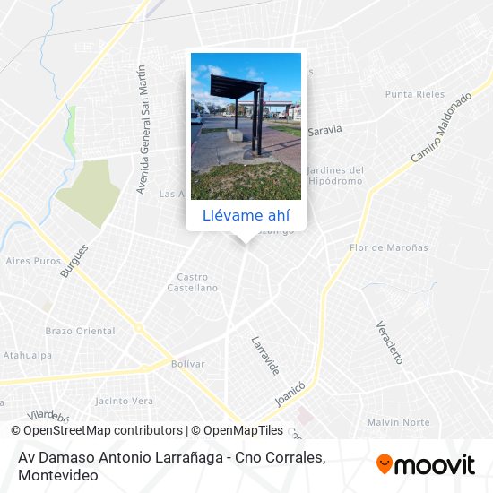 Mapa de Av Damaso Antonio Larrañaga - Cno Corrales