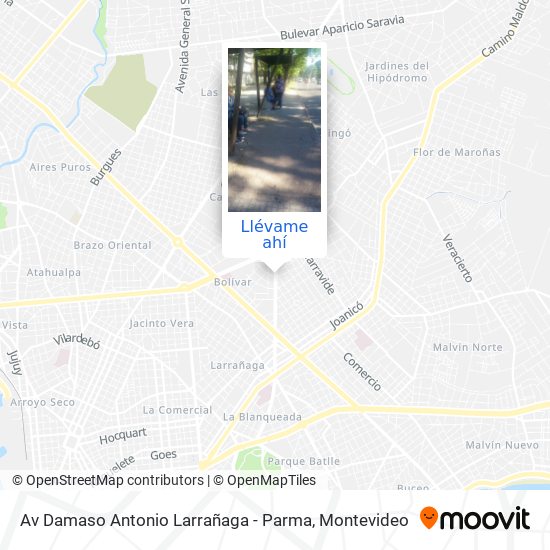 Mapa de Av Damaso Antonio Larrañaga - Parma