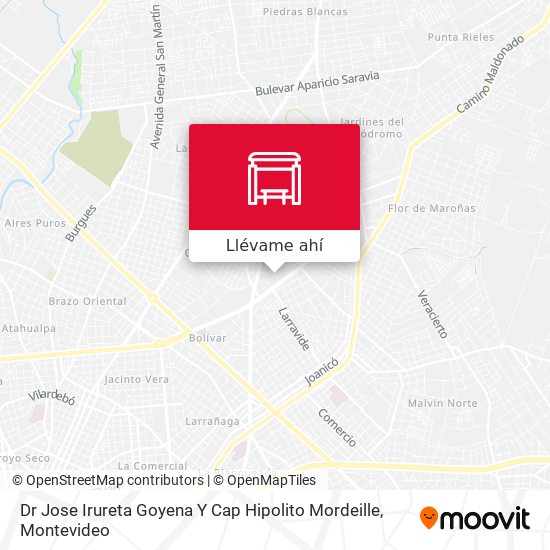 Mapa de Dr Jose Irureta Goyena Y Cap Hipolito Mordeille