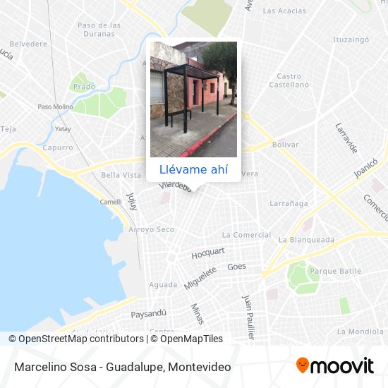 Mapa de Marcelino Sosa - Guadalupe