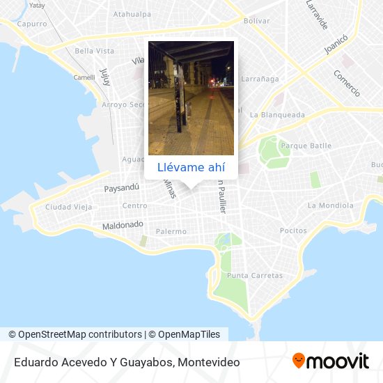 Mapa de Eduardo Acevedo Y Guayabos