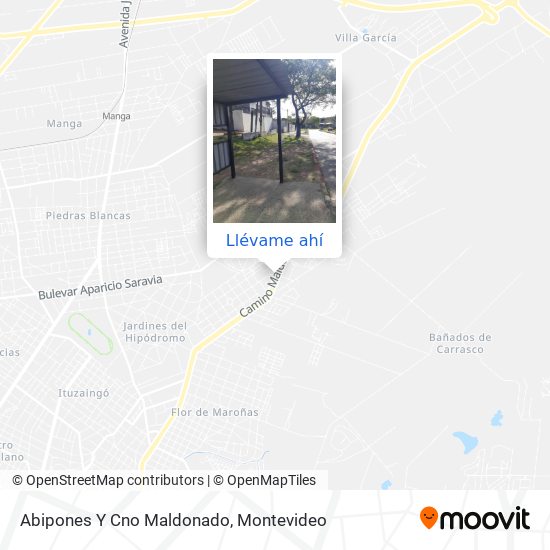 Mapa de Abipones Y Cno Maldonado