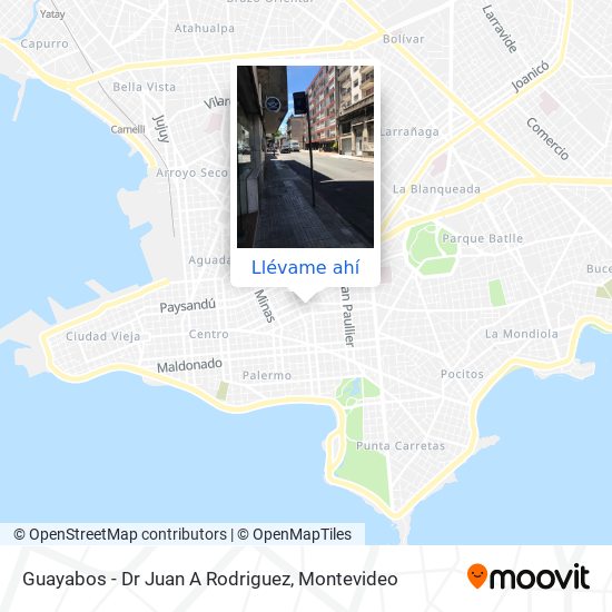 Mapa de Guayabos - Dr Juan A Rodriguez