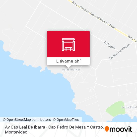 Mapa de Av Cap Leal De Ibarra - Cap Pedro De Mesa Y Castro