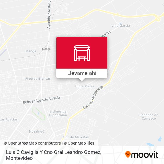 Mapa de Luis C Caviglia Y Cno Gral Leandro Gomez