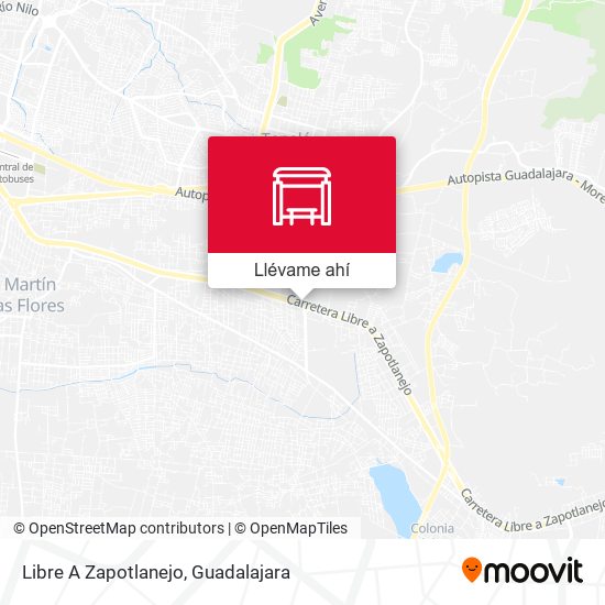 Mapa de Libre A Zapotlanejo