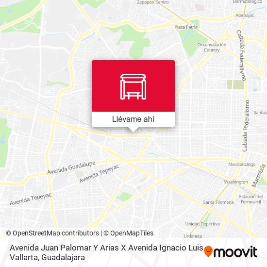 Mapa de Avenida Juan Palomar Y Arias X Avenida Ignacio Luis Vallarta