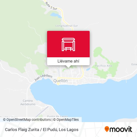 Mapa de Carlos Flaig Zurita / El Pudú