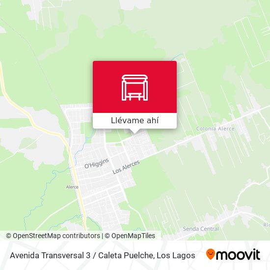 Mapa de Avenida Transversal 3 / Caleta Puelche