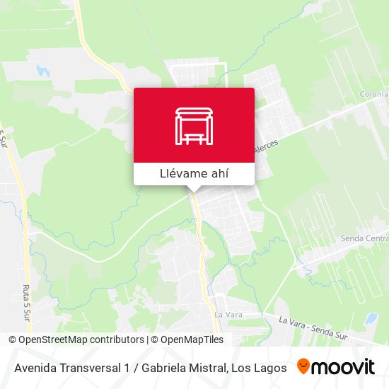 Mapa de Avenida Transversal 1 / Gabriela Mistral