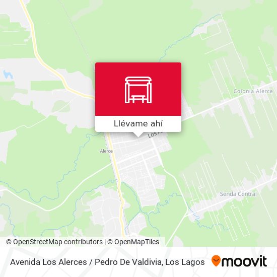 Mapa de Avenida Los Alerces / Pedro De Valdivia