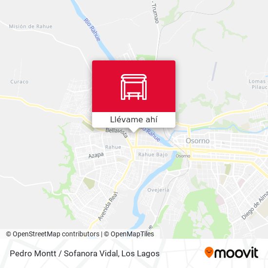 Mapa de Pedro Montt / Sofanora Vidal