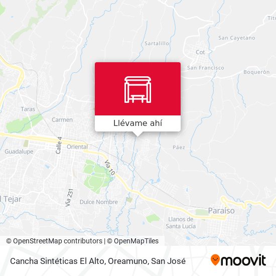 Mapa de Cancha Sintéticas El Alto, Oreamuno