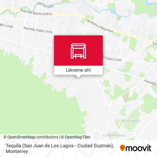 Mapa de Tequila (San Juan de Los Lagos - Ciudad Guzmán)
