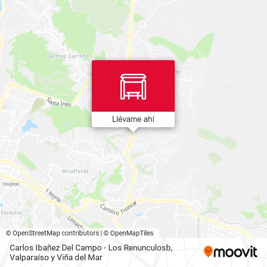 Mapa de Carlos Ibañez Del Campo - Los Renunculosb