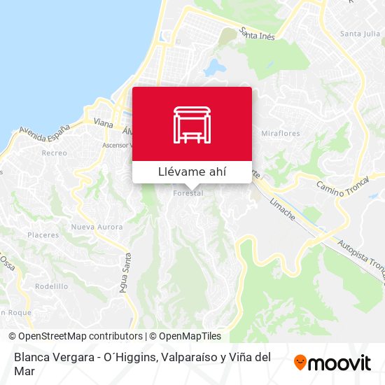 Mapa de Blanca Vergara - O´Higgins