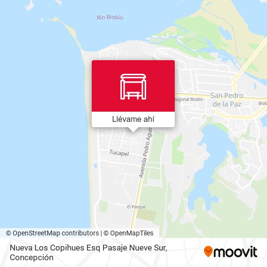 Mapa de Nueva Los Copihues Esq Pasaje Nueve  Sur