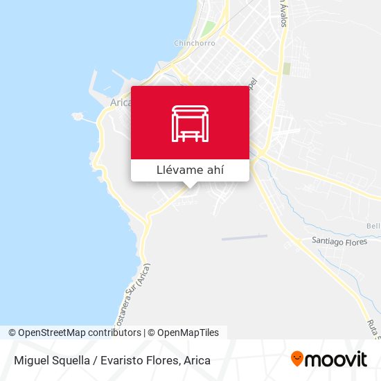 Mapa de Miguel Squella / Evaristo Flores