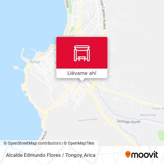 Mapa de Alcalde Edmundo Flores / Tongoy