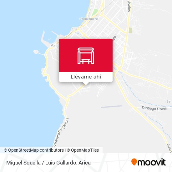Mapa de Miguel Squella / Luis Gallardo