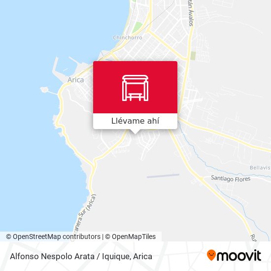 Mapa de Alfonso Nespolo Arata / Iquique