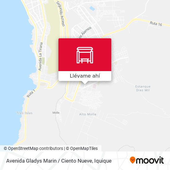 Mapa de Avenida Gladys Marin / Ciento Nueve