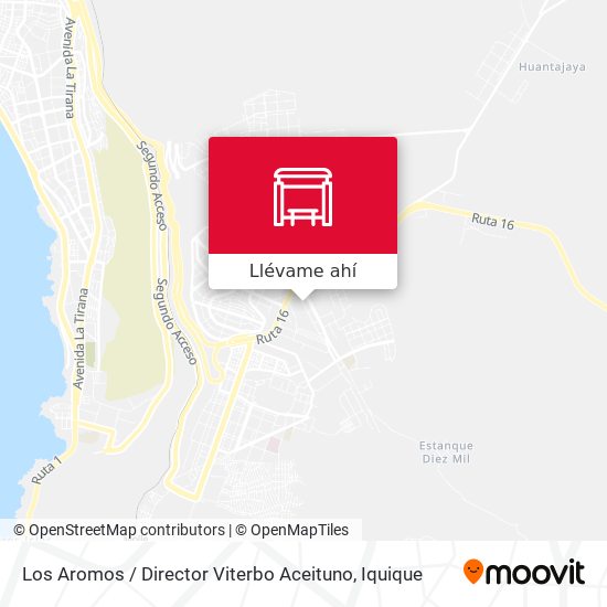 Mapa de Los Aromos / Director Viterbo Aceituno