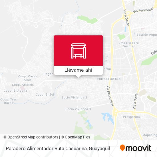 Mapa de Paradero Alimentador Ruta Casuarina