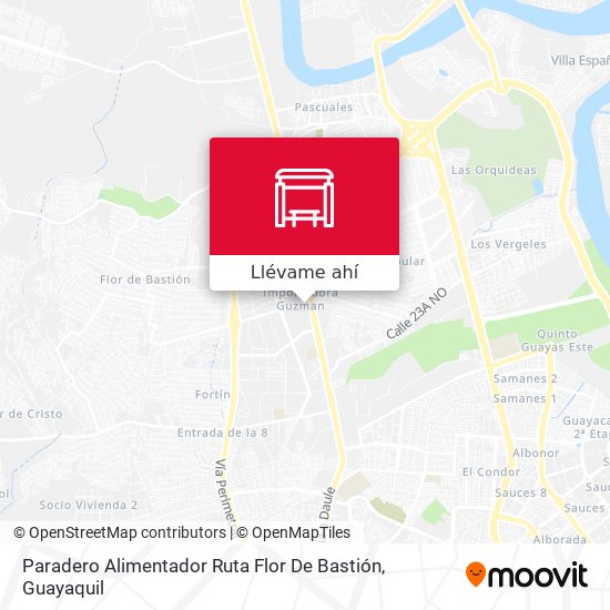 Mapa de Paradero Alimentador Ruta Flor De Bastión