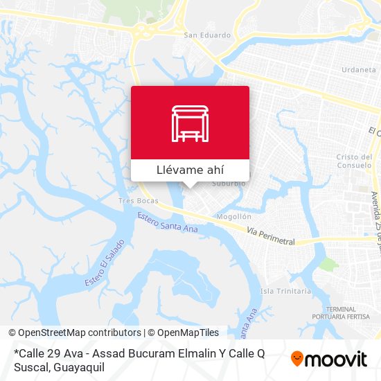 Mapa de *Calle 29 Ava - Assad Bucuram Elmalin Y Calle Q Suscal