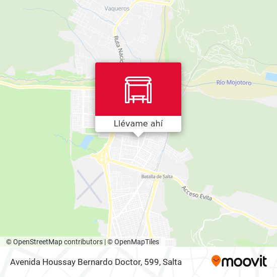 Mapa de Avenida Houssay Bernardo Doctor, 599