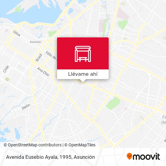 Mapa de Avenida Eusebio Ayala, 1995
