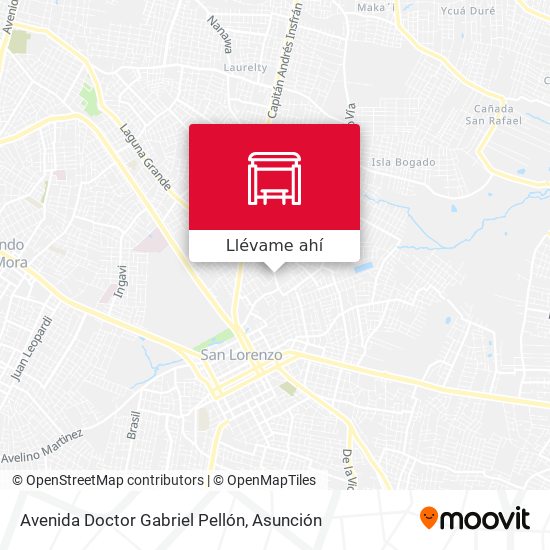 Mapa de Avenida Doctor Gabriel Pellón